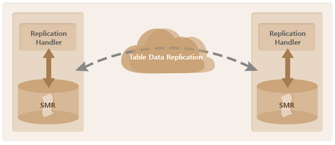 Replication