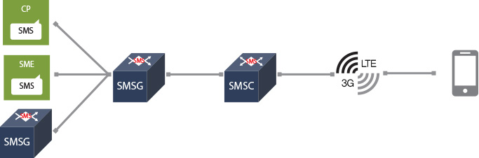 SMSG 구성도